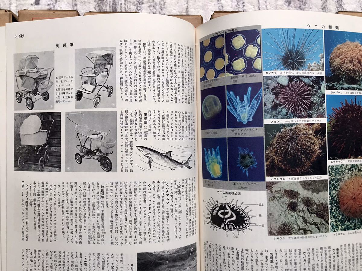Yahoo!オークション - 小学館 世界原色百科事典 全8巻セット 昭和40年