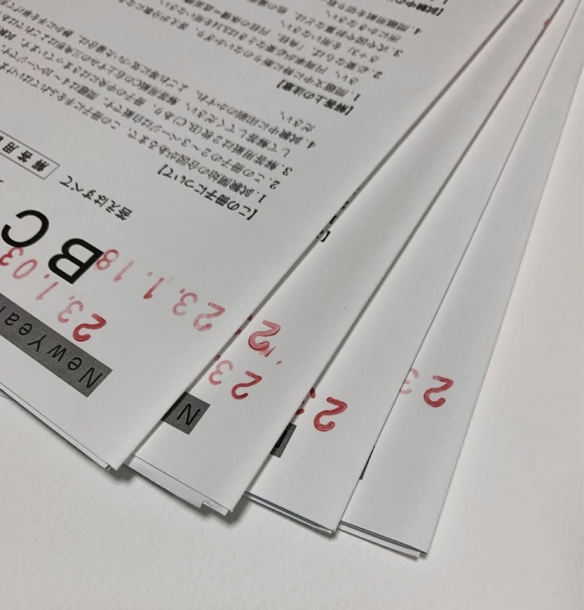 サピックス小学6年 SAPIX 正月特訓入試必勝実戦演習プリント01〜04