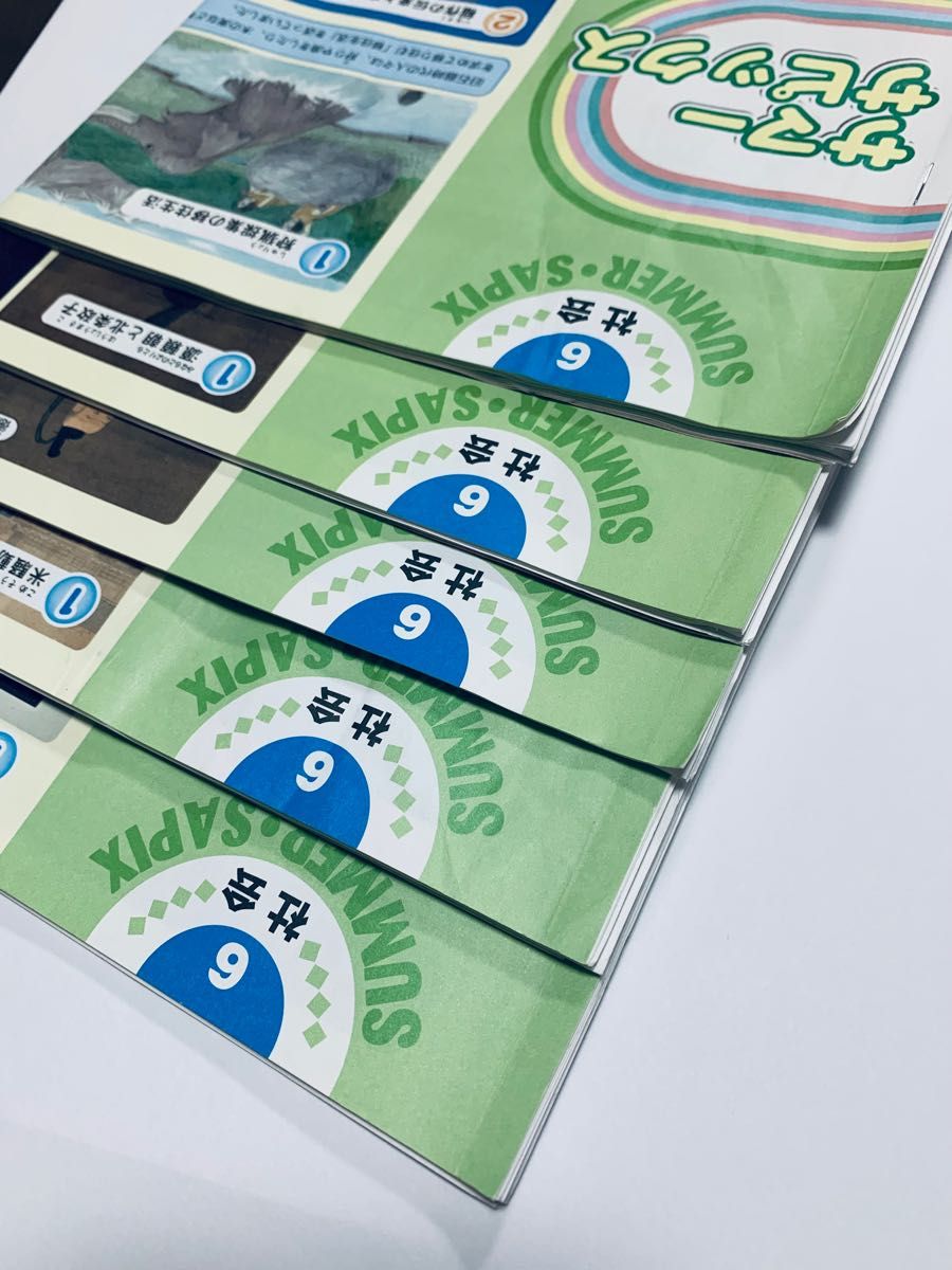 サピックス2019年受験組 6年生テスト 17回分原本 フルセット