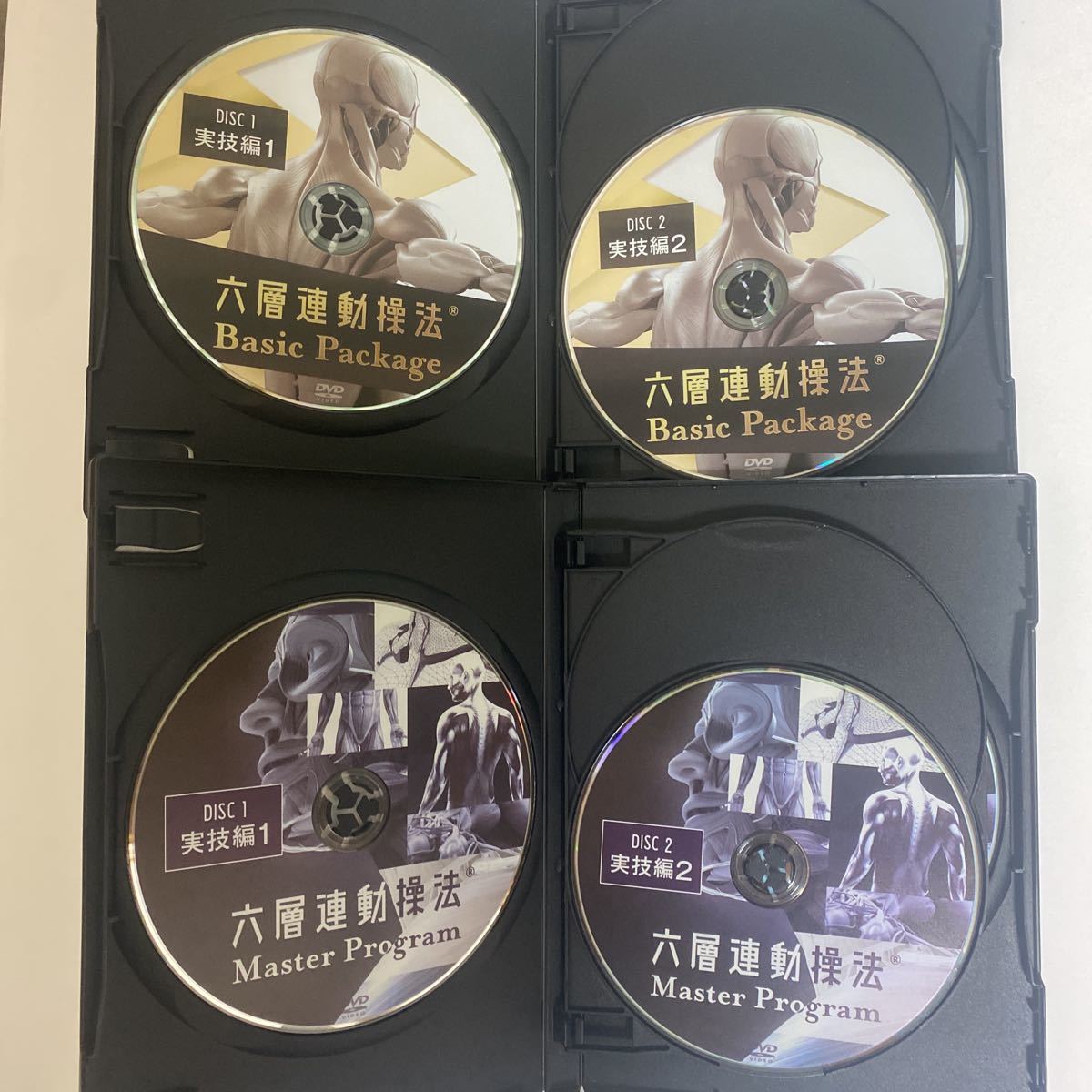 24時間以内発送 整体DVD【六層連動操法 Basic Package】 【六層連動操
