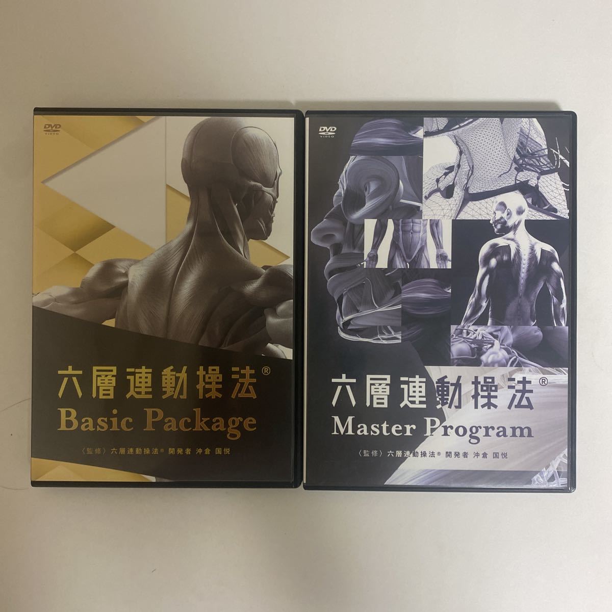 24時間以内発送 整体DVD【六層連動操法 Basic Package】 【六層連動操