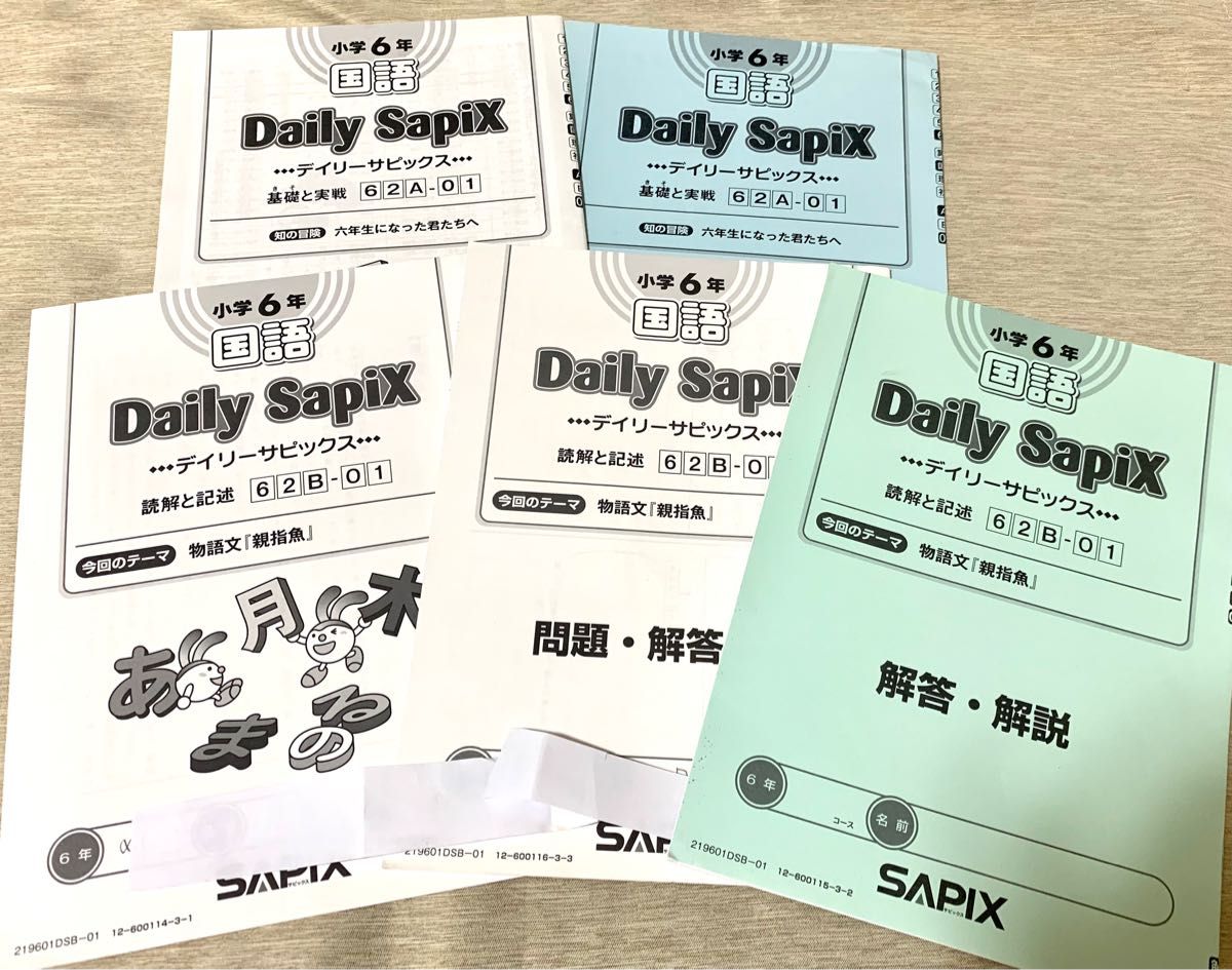 サピックス6年生国語一年分テキストSAPIX｜Yahoo!フリマ（旧PayPayフリマ）