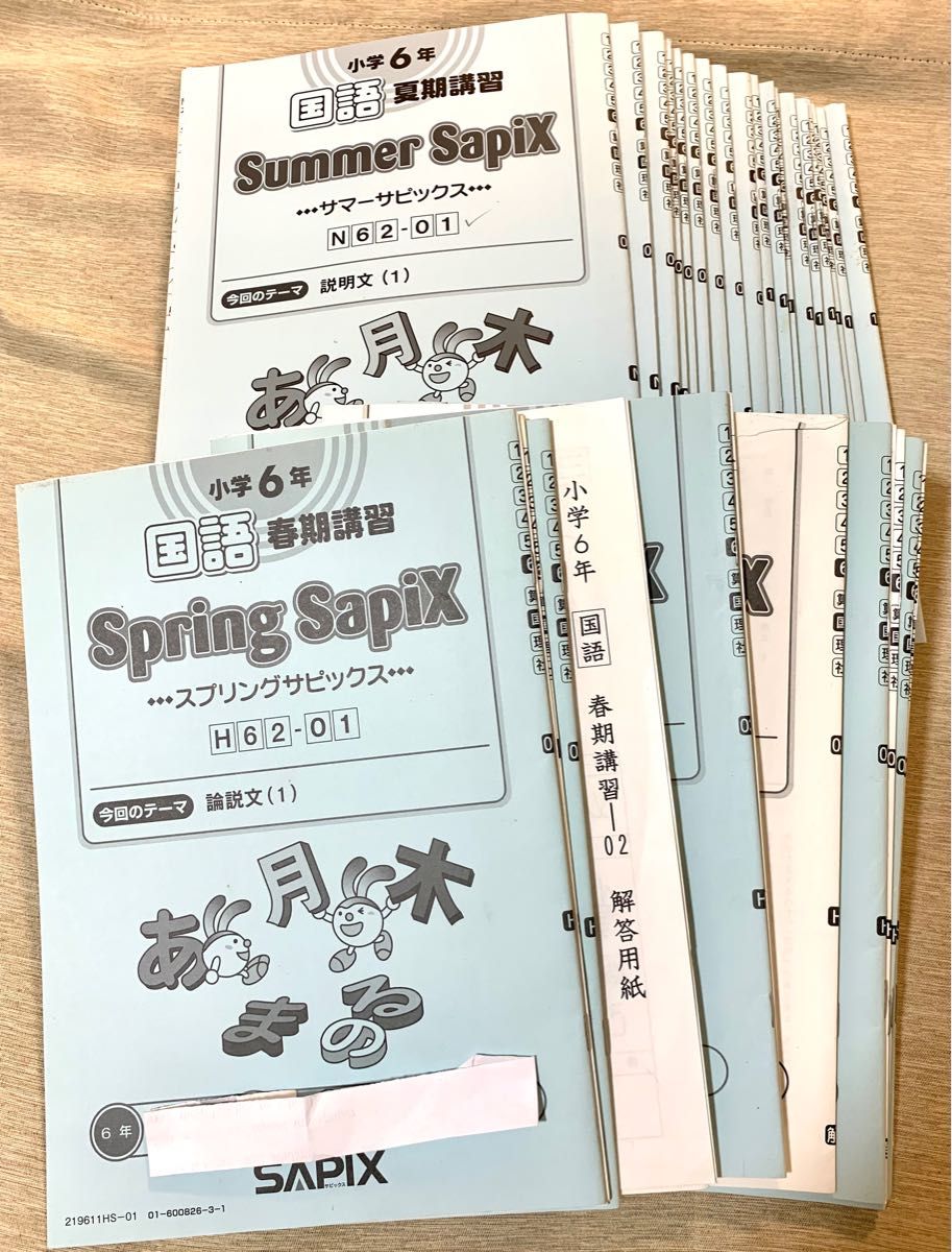 サピックス6年生国語一年分テキストSAPIX｜Yahoo!フリマ（旧PayPayフリマ）
