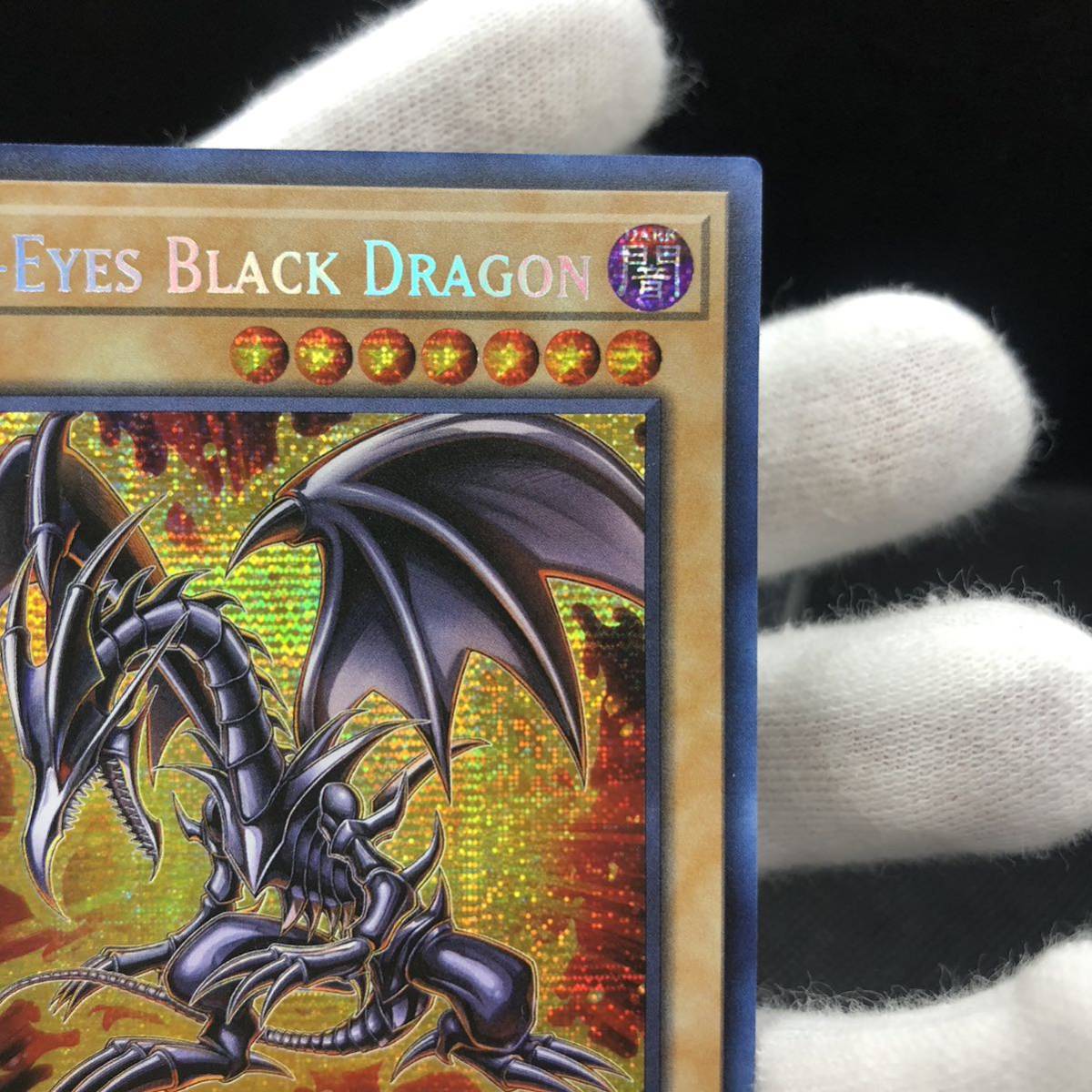 未使用品】遊戯王 英語版 真紅眼の黒竜 レッドアイズブラックドラゴン