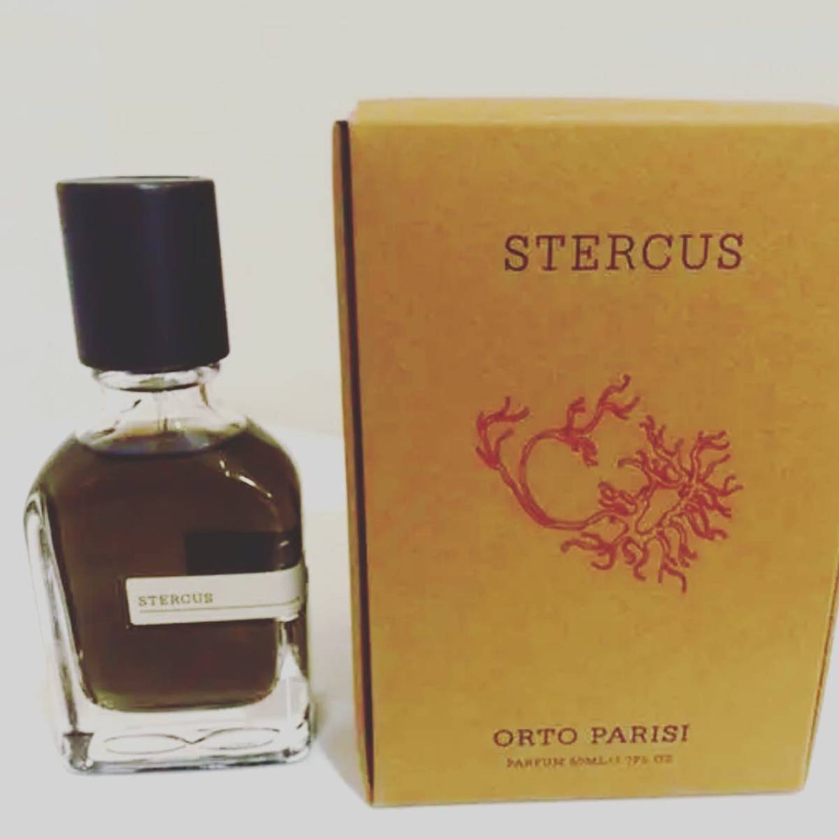 ORTOPARIS オルトパリージステルクス50mlSTERCUSノーズショップnose