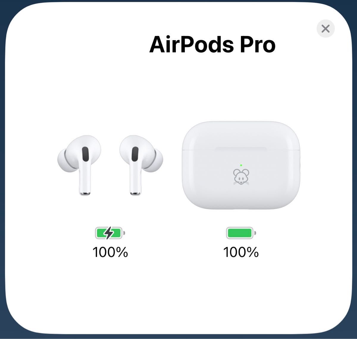 Apple AirPods Pro（第2世代）刻印入り 中古1個｜Yahoo!フリマ（旧
