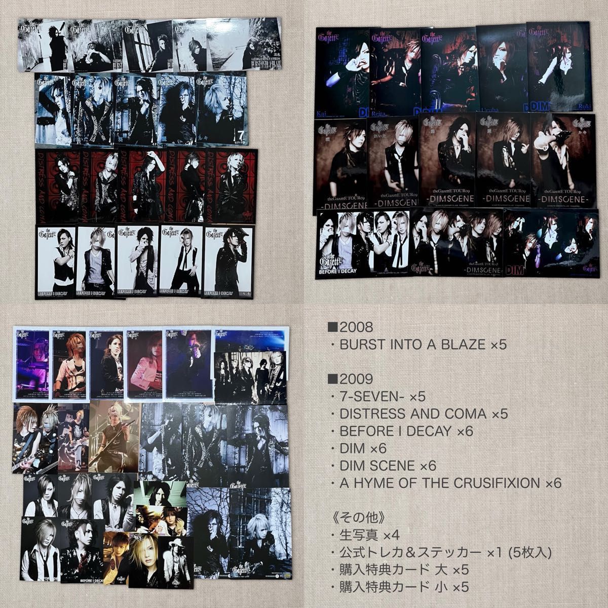 大量まとめ売り】激レア the GazettE ガゼット CD DVD 雑誌 FCグッズ