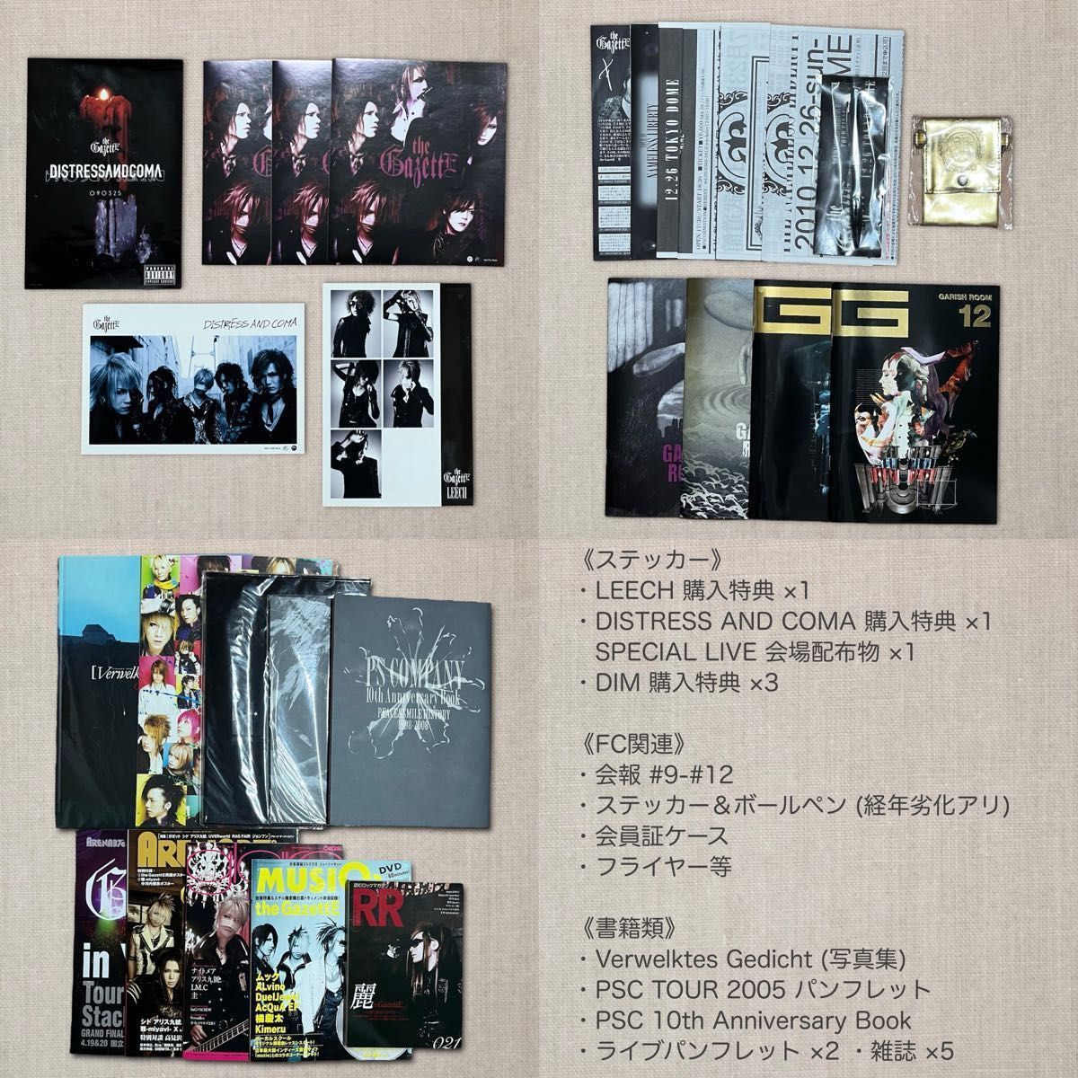 大量まとめ売り】激レア the GazettE ガゼット CD DVD 雑誌 FCグッズ