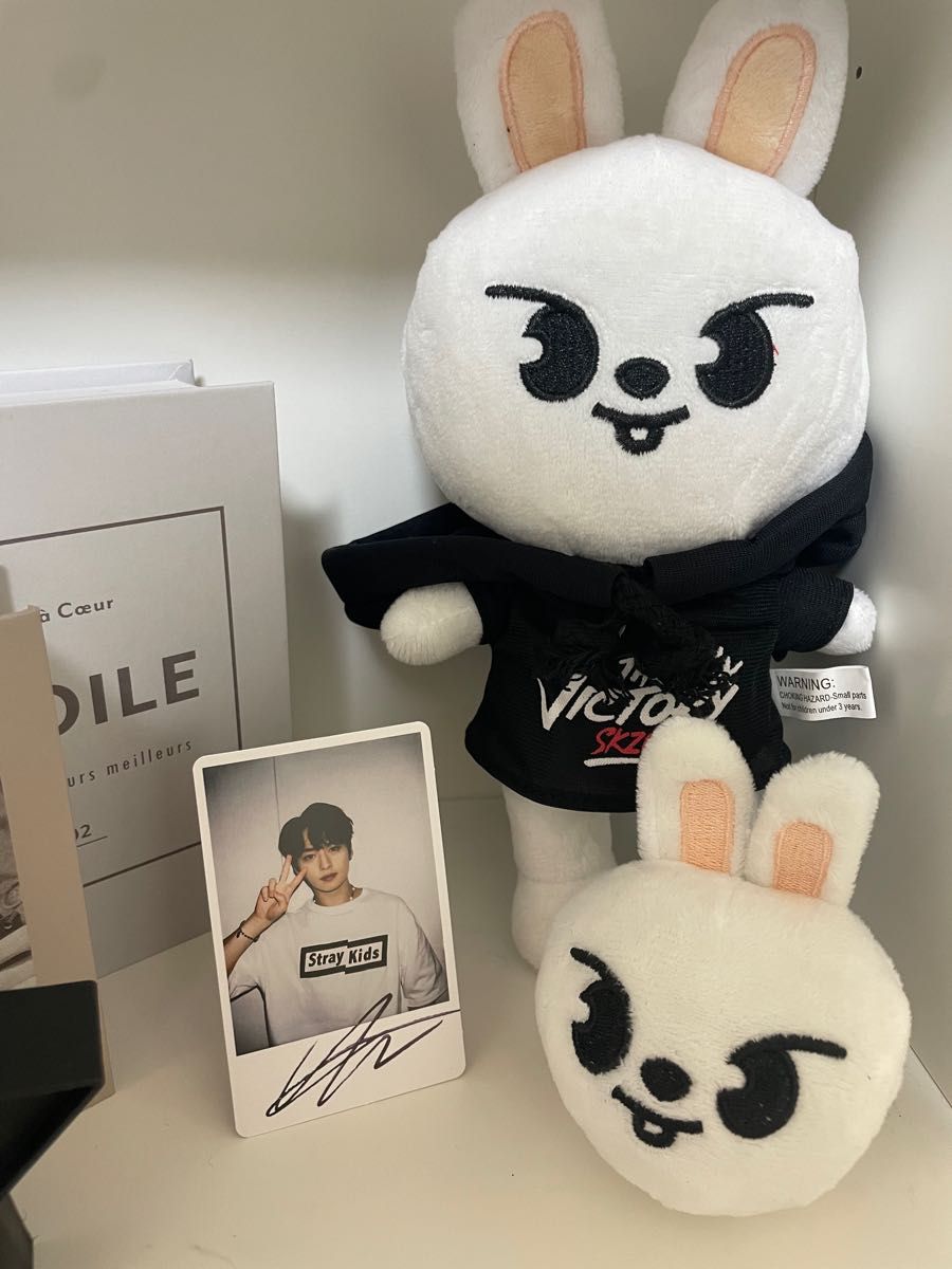 値下げ StrayKids スキズ skzoo リノぬいぐるみ キーホルダー2点セット