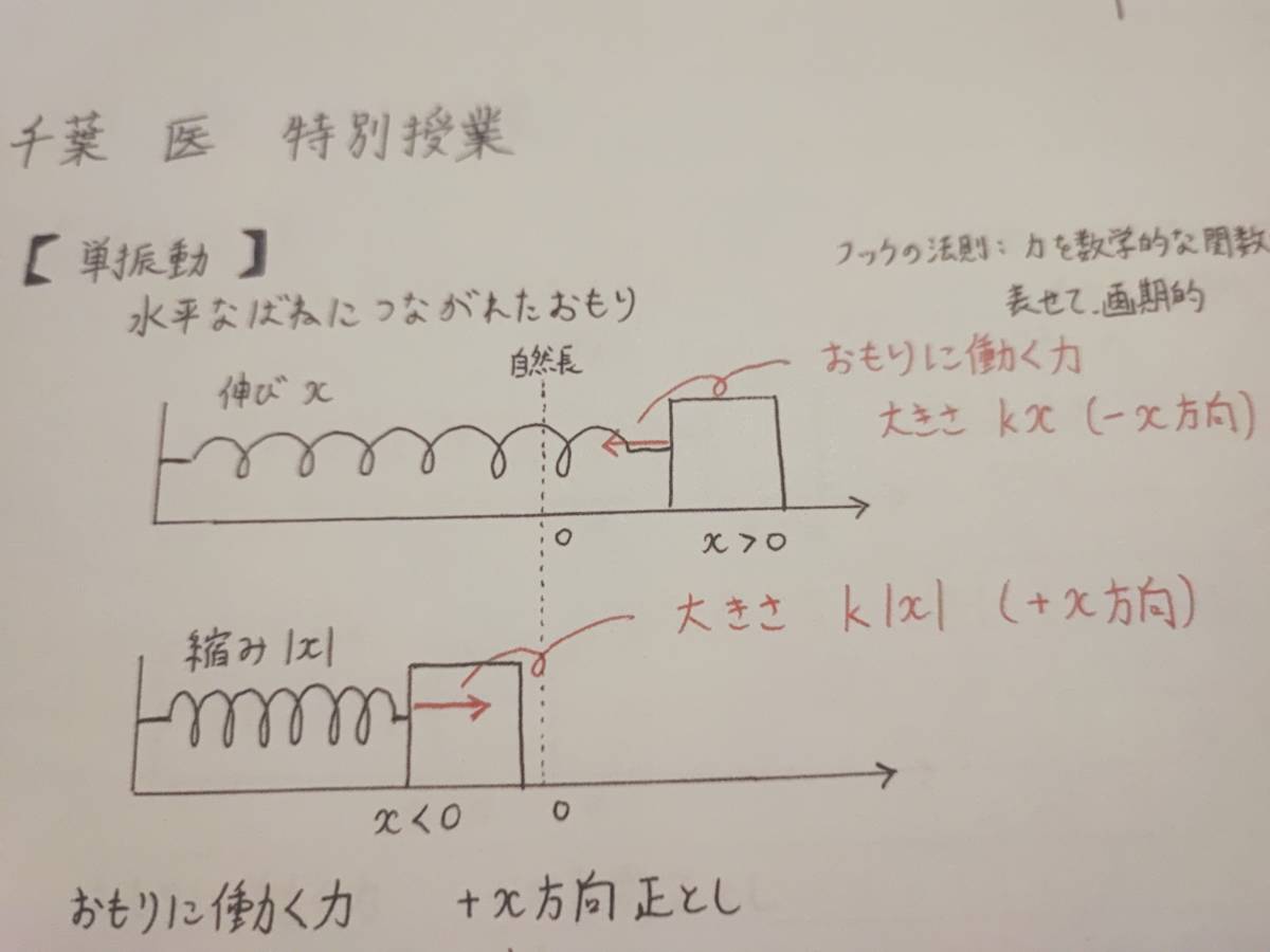 駿台 山本義隆先生 物理 千葉大医学部医学科対策 特別授業 問題・板書