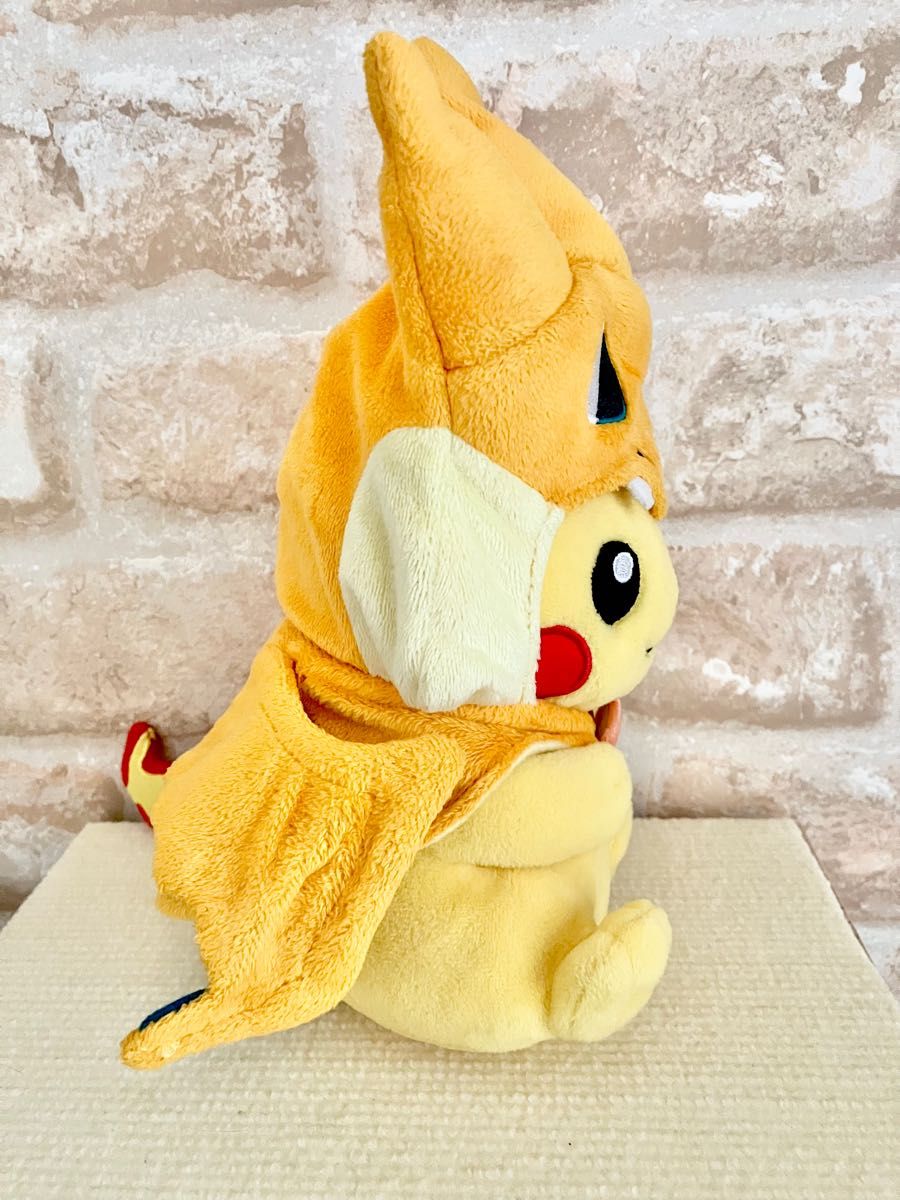 ポケモンセンターオリジナル メガリザードンのポンチョを着た