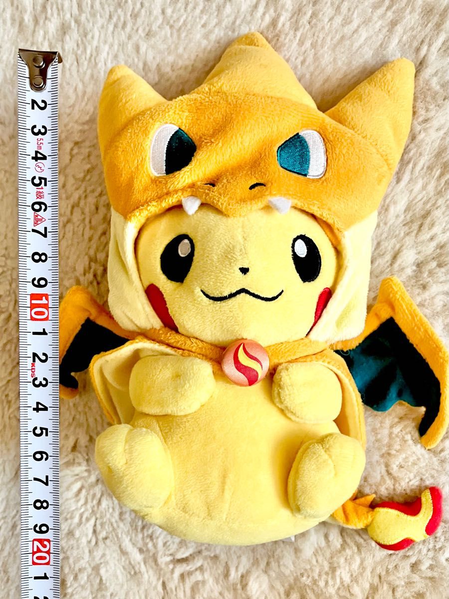 ポケモンセンターオリジナル メガリザードンのポンチョを着た