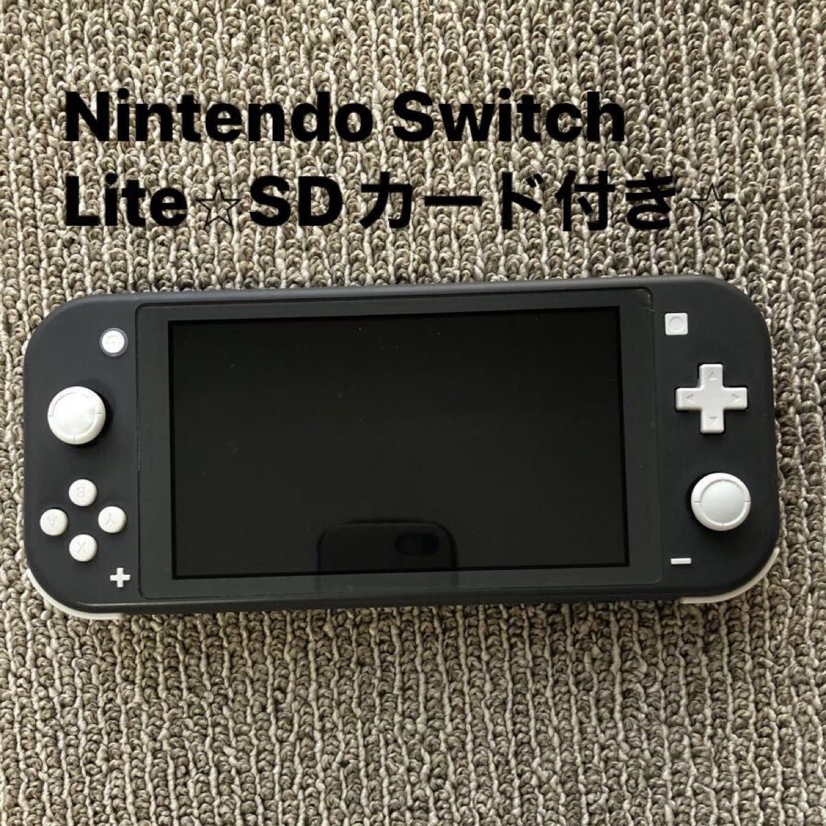 Nintendo Switch Lite ニンテンドー スイッチライト 本体 【SDカード