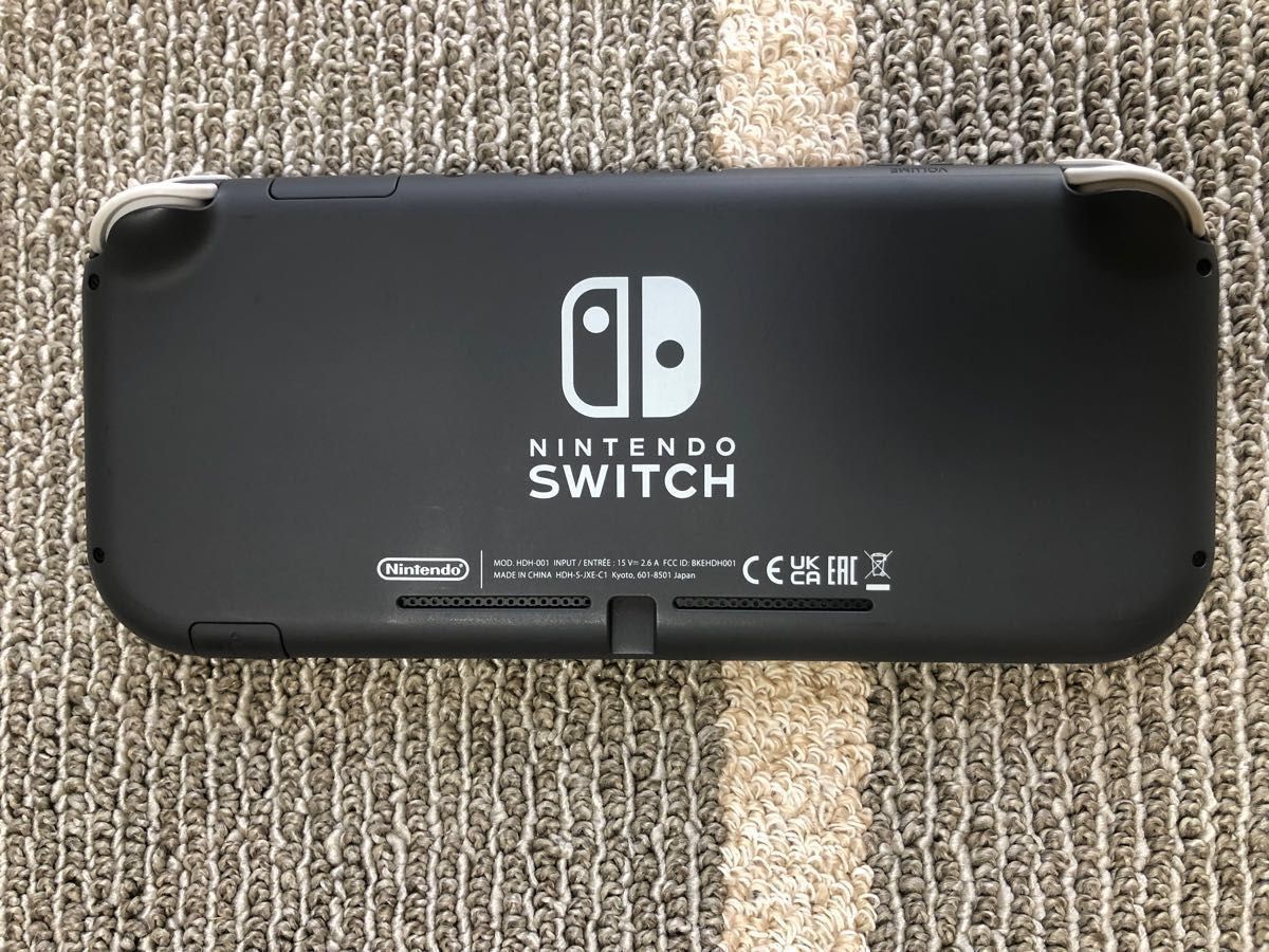 Nintendo Switch Lite ニンテンドー スイッチライト 本体 【SDカード