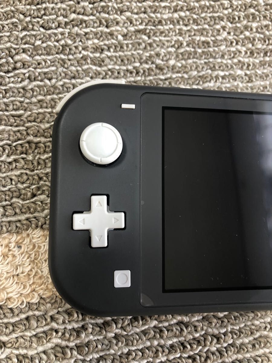 Nintendo Switch Lite ニンテンドー スイッチライト 本体 【SDカード