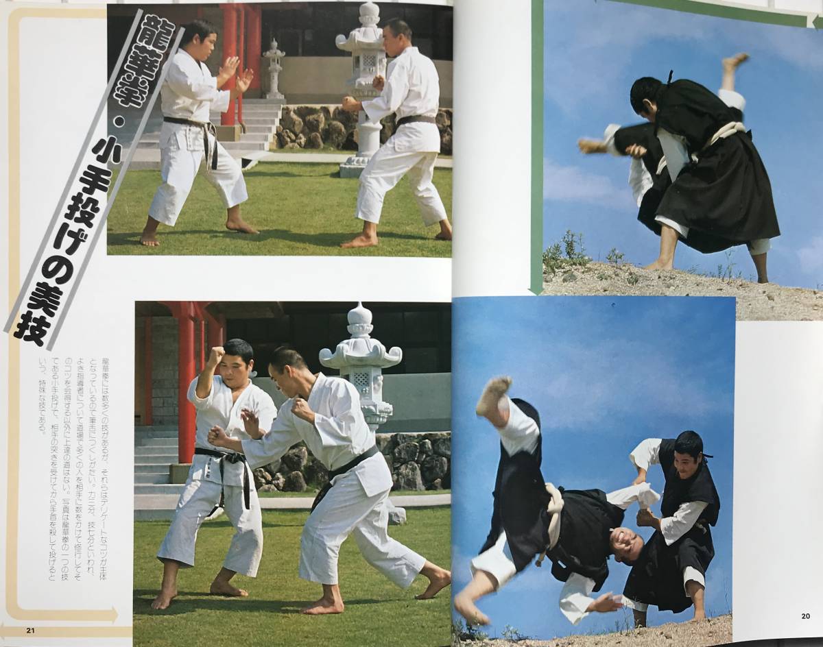 Yahoo!オークション - 【初版】少林寺拳法 日本少林寺拳法創立30周年記