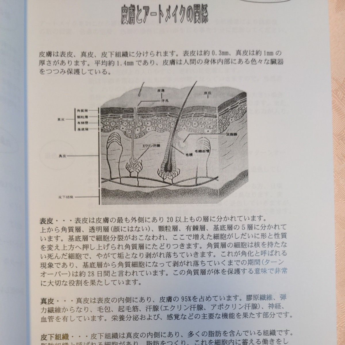 アートメイク 教本 全48p｜Yahoo!フリマ（旧PayPayフリマ）