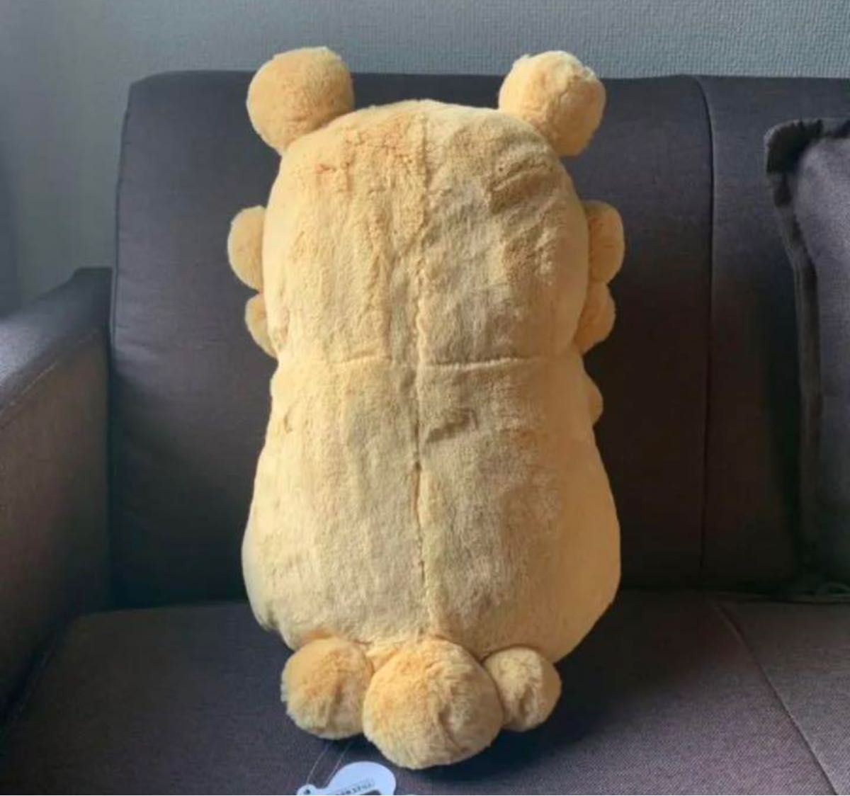 ポケモン センター 限定 ふわふわ 抱きぬいぐるみ ビッパ｜Yahoo