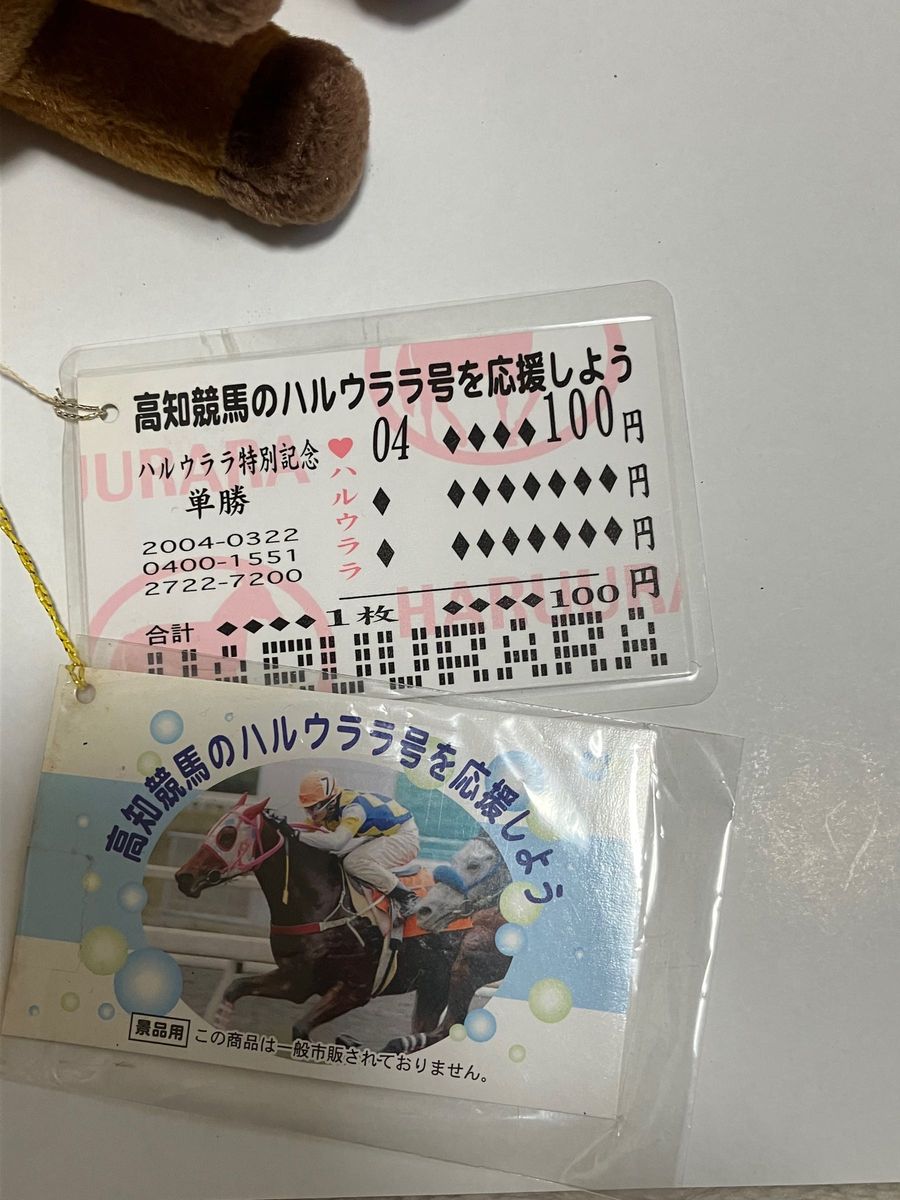 高知競馬 ハルウララ号 ぬいぐるみ ゼッケン2｜Yahoo!フリマ（旧PayPay