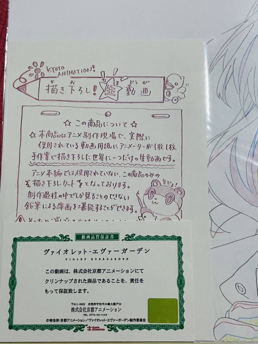送料無料 ヴァイオレット・エヴァーガーデン 描き下ろし 生動画 京アニ