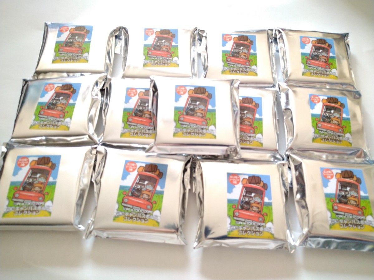 TOP4 in TOKYO DOME ミニキャンバスボード コレクション ノーマル