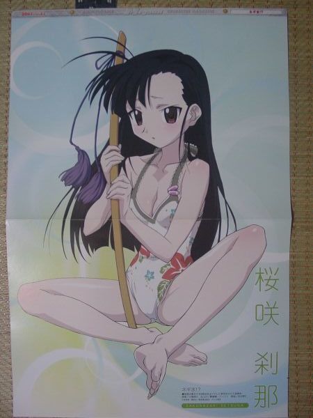 Yahoo!オークション - 魔法先生ネギま (桜咲刹那 龍宮真名 水着) 両面