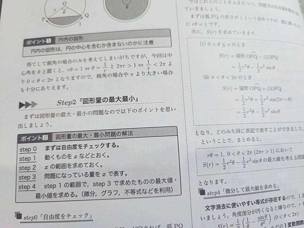 鉄緑会 小橋先生 21年 夏期 高3理系数学・分野別 数Ⅲ テキスト・解説