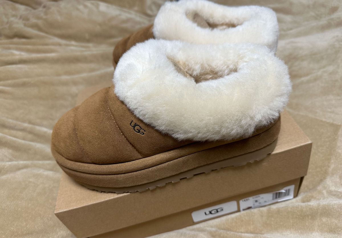 UGG アグ Tazzlita タズリータ 完売カラー チェスナット サイズ25