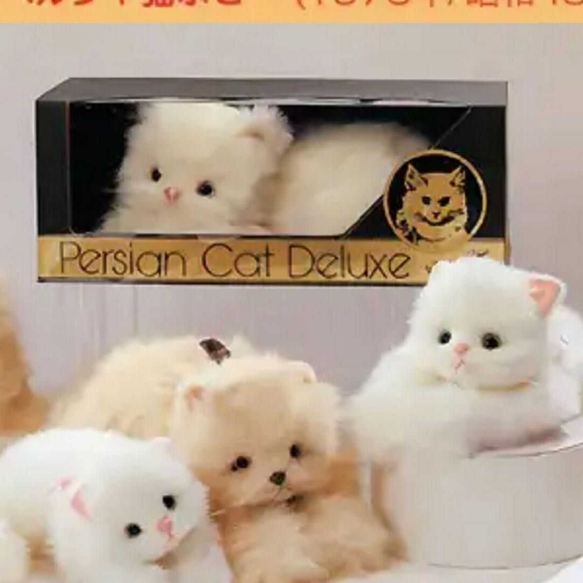 猫 ねこ ネコ オオイケ ペルシャ猫 ボビー 昭和ペルシャ デッド