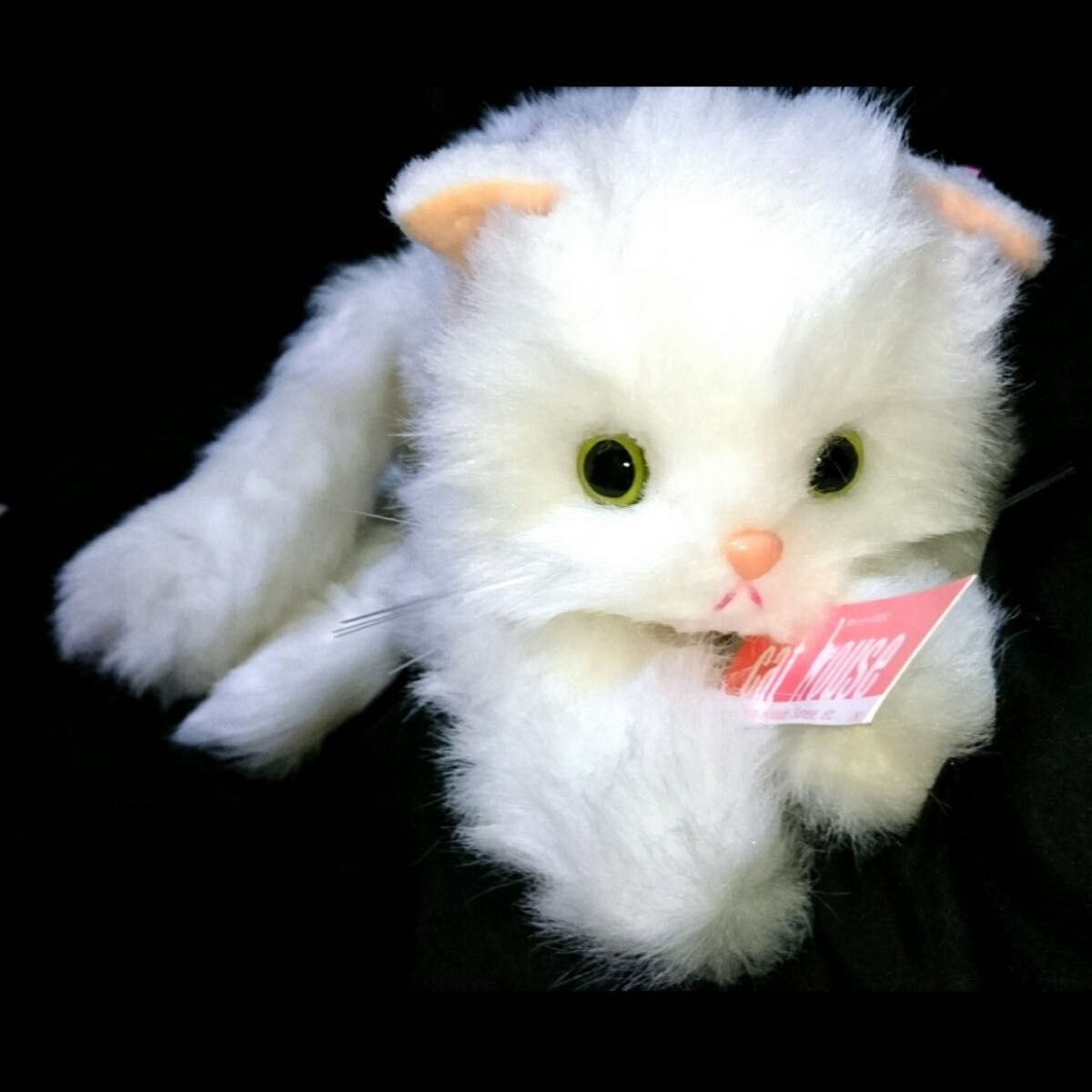 猫 ねこ ネコ オオイケ ペルシャ猫 ボビー 昭和ペルシャ デッド