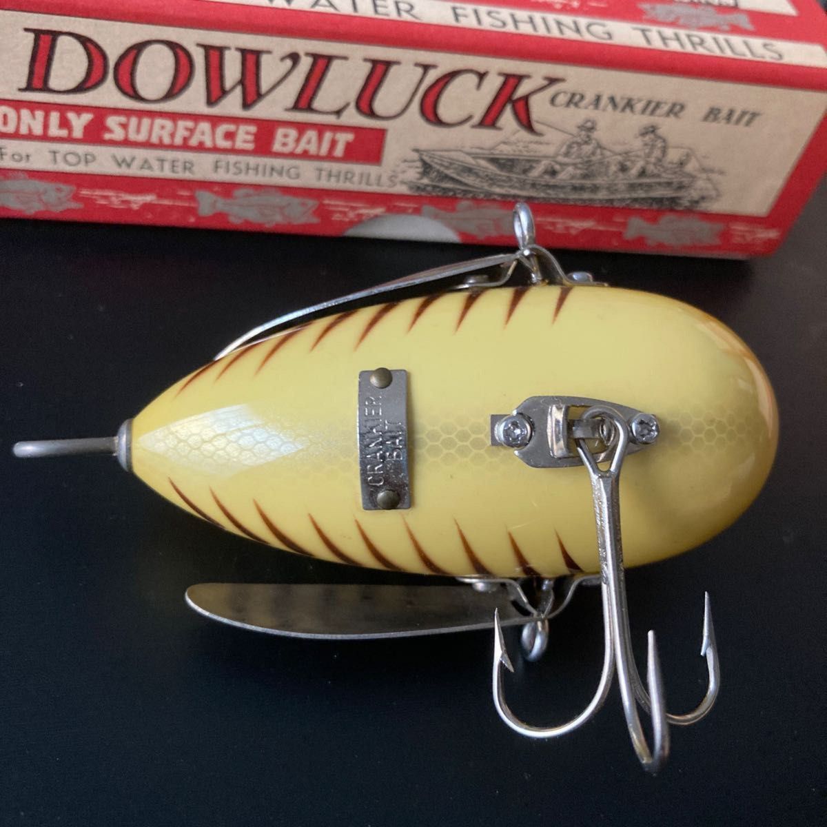 道楽 アナゴイヌ 虎 dowluck 桐箱付き 道楽 アナゴイヌ 虎 dowluck 桐