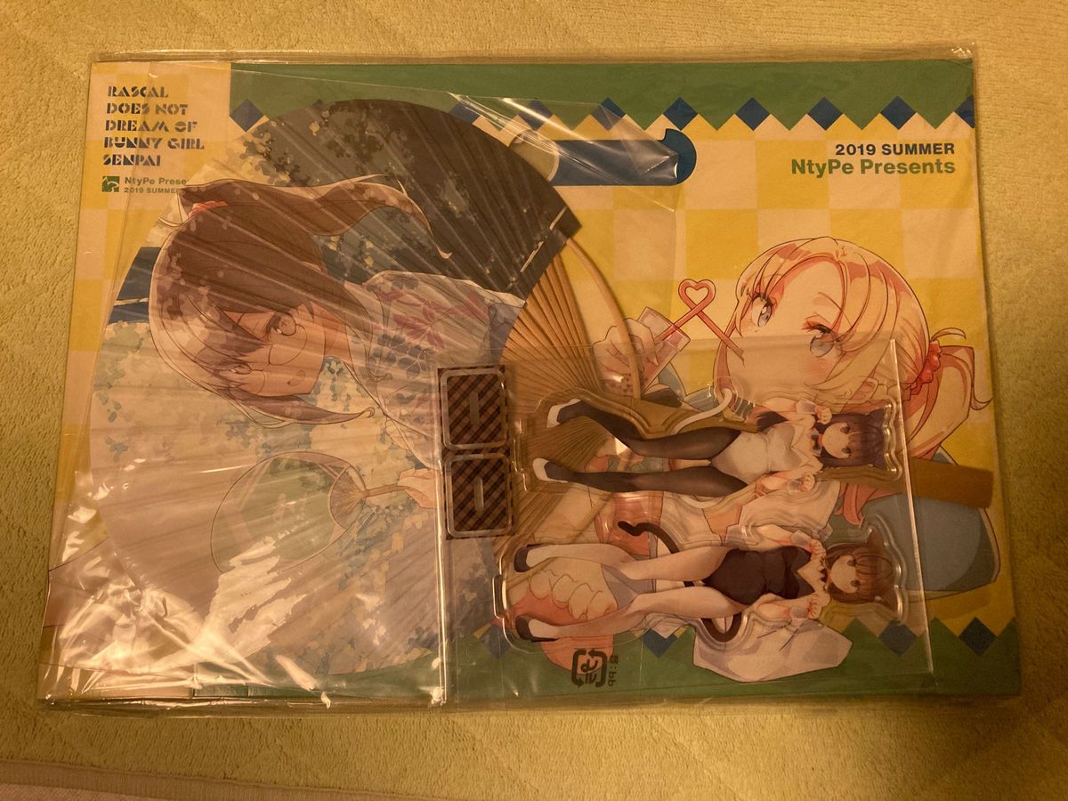 青春ブタ野郎シリーズ 青ブタ 溝口ケージ Ntype コミックマーケット