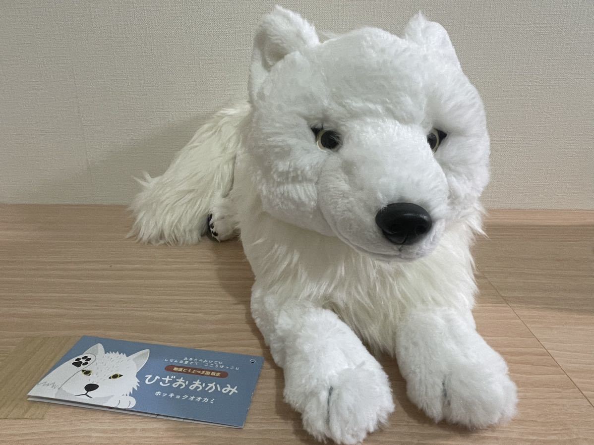 Yahoo!オークション - 那須動物王国限定 ひざおおかみ ホッキョクオオ