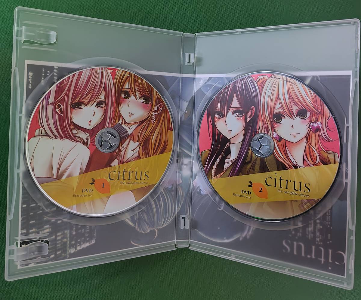 北米版 DVD】シトラス citrus 全12話【303902】 アニメDVD 国内用
