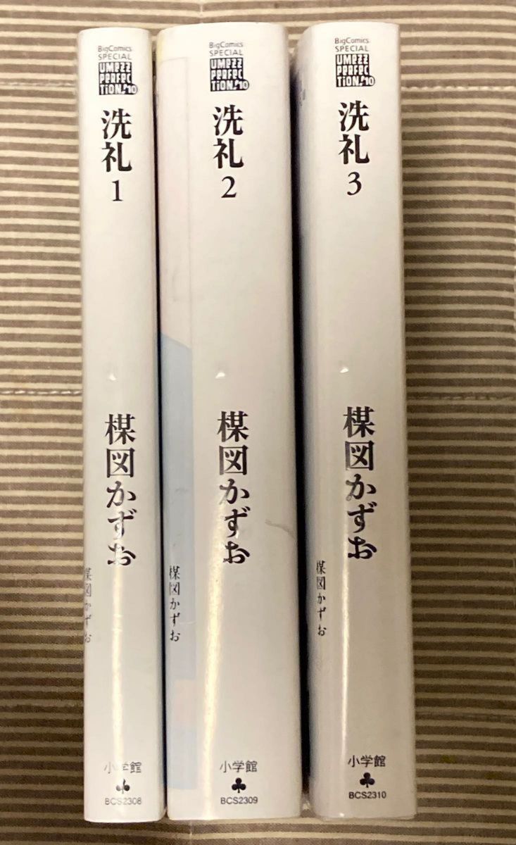 楳図かずお 洗礼 楳図PERFECTION 1〜3巻セット 初版｜Yahoo!フリマ（旧