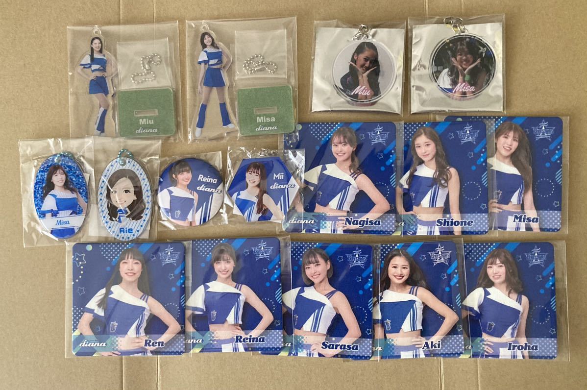 送料込 横浜denaベイスターズ diana ディアーナ チア アクリル