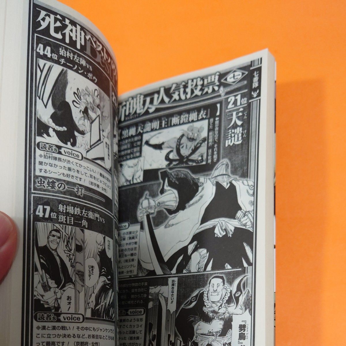 BLEACH 13 BLADEs． （ジャンプコミックス） 久保帯人