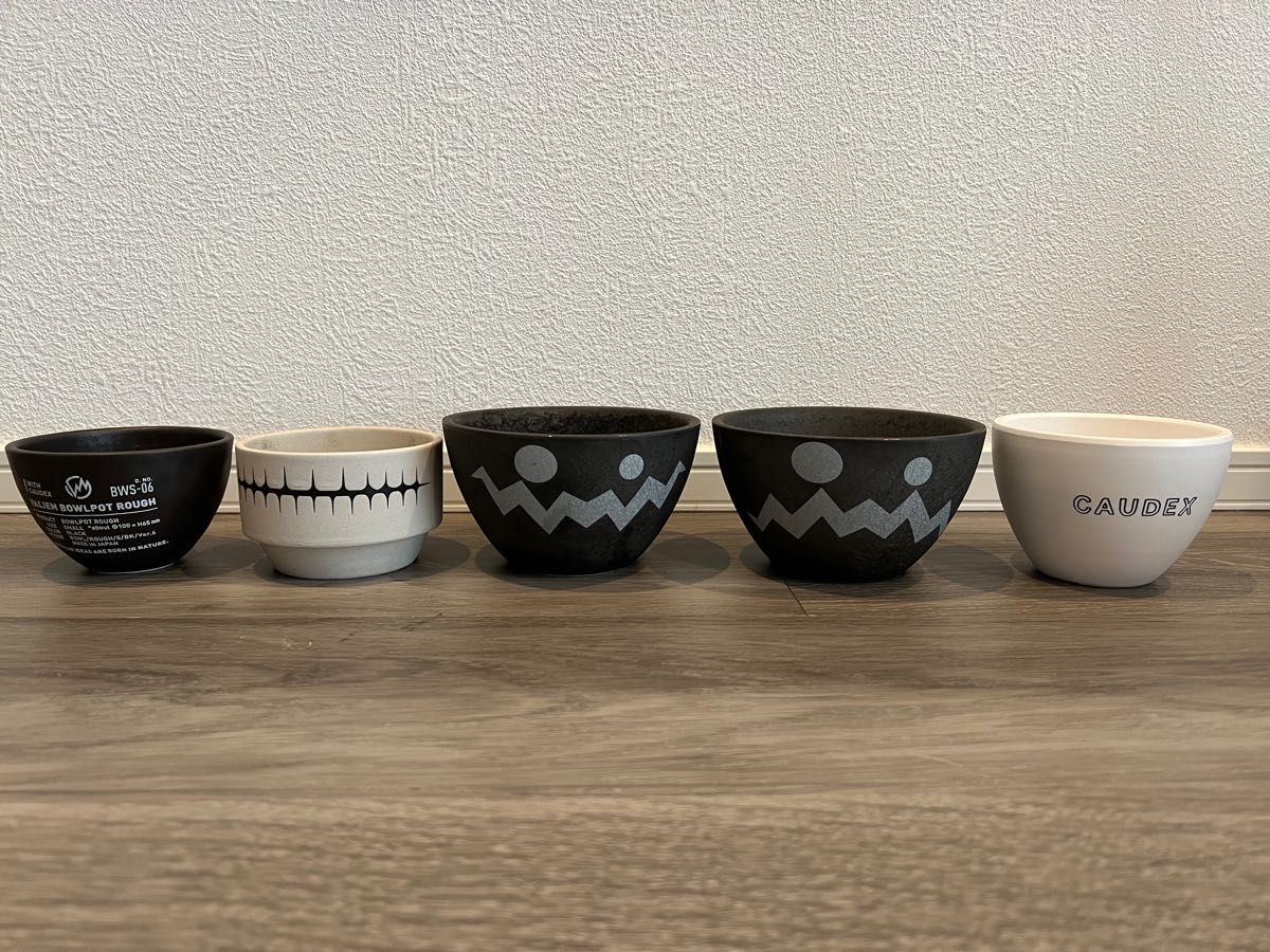 5鉢セット】valiem aobouzu 彩音 鉢｜Yahoo!フリマ（旧PayPayフリマ）