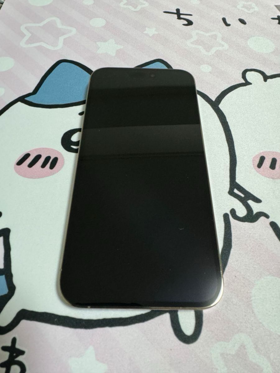 iPhone 14 Pro Max 256GB ゴールド バッテリー100% おまけ付き｜Yahoo