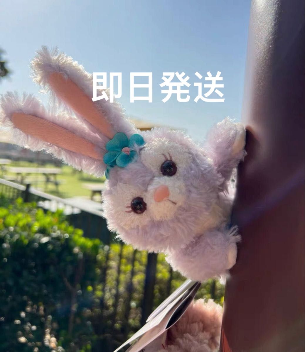 上海ディズニー限定 磁石つき ステラルー肩のせぬいぐるみ｜Yahoo