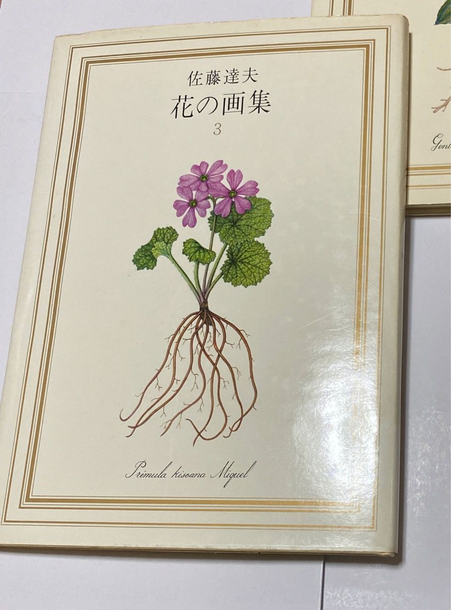 東京新聞社 佐藤達夫 花の画集 1 2 3｜Yahoo!フリマ（旧PayPayフリマ）