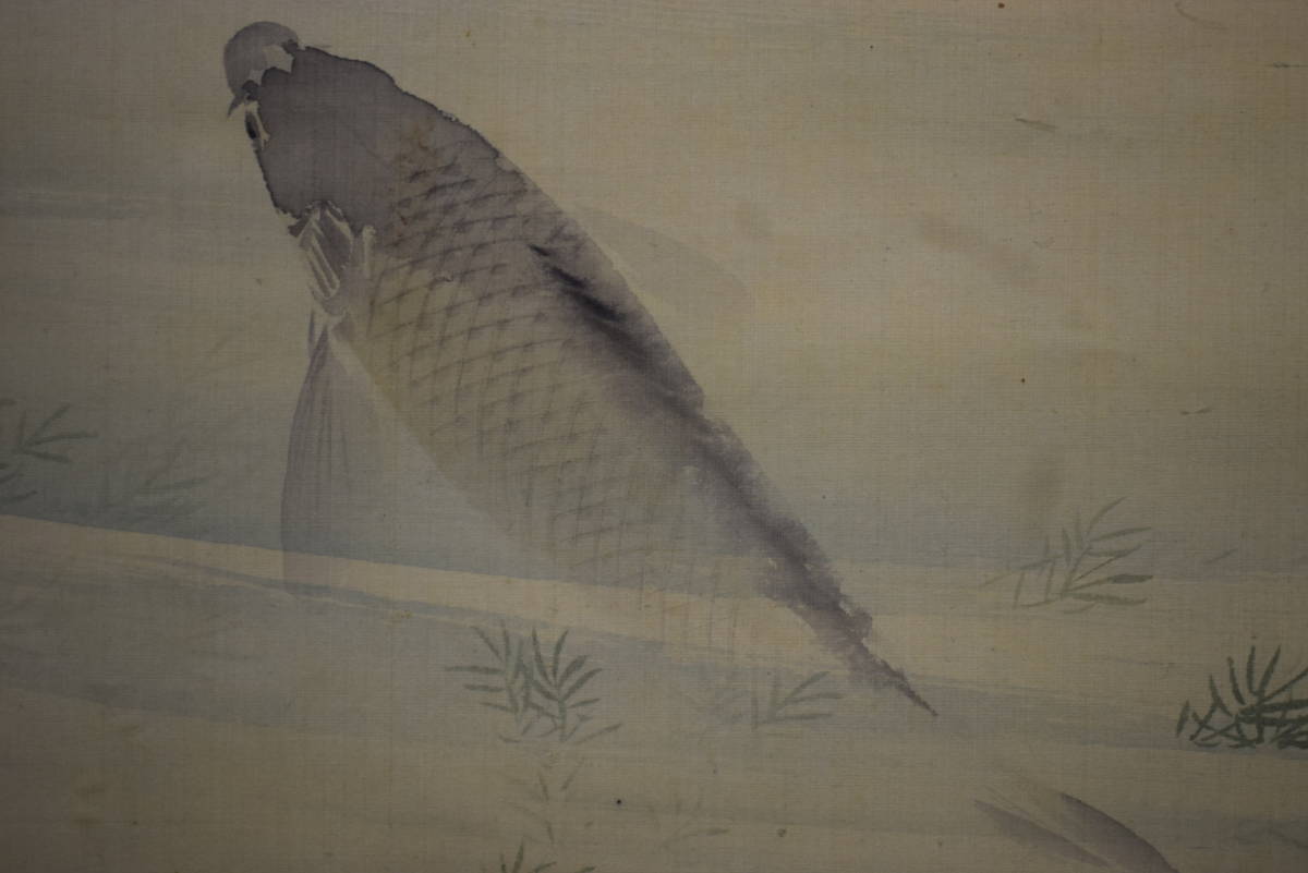 Yahoo!オークション - 【真作】/深田直城/鯉図/桐共箱付/布袋屋掛軸HG-