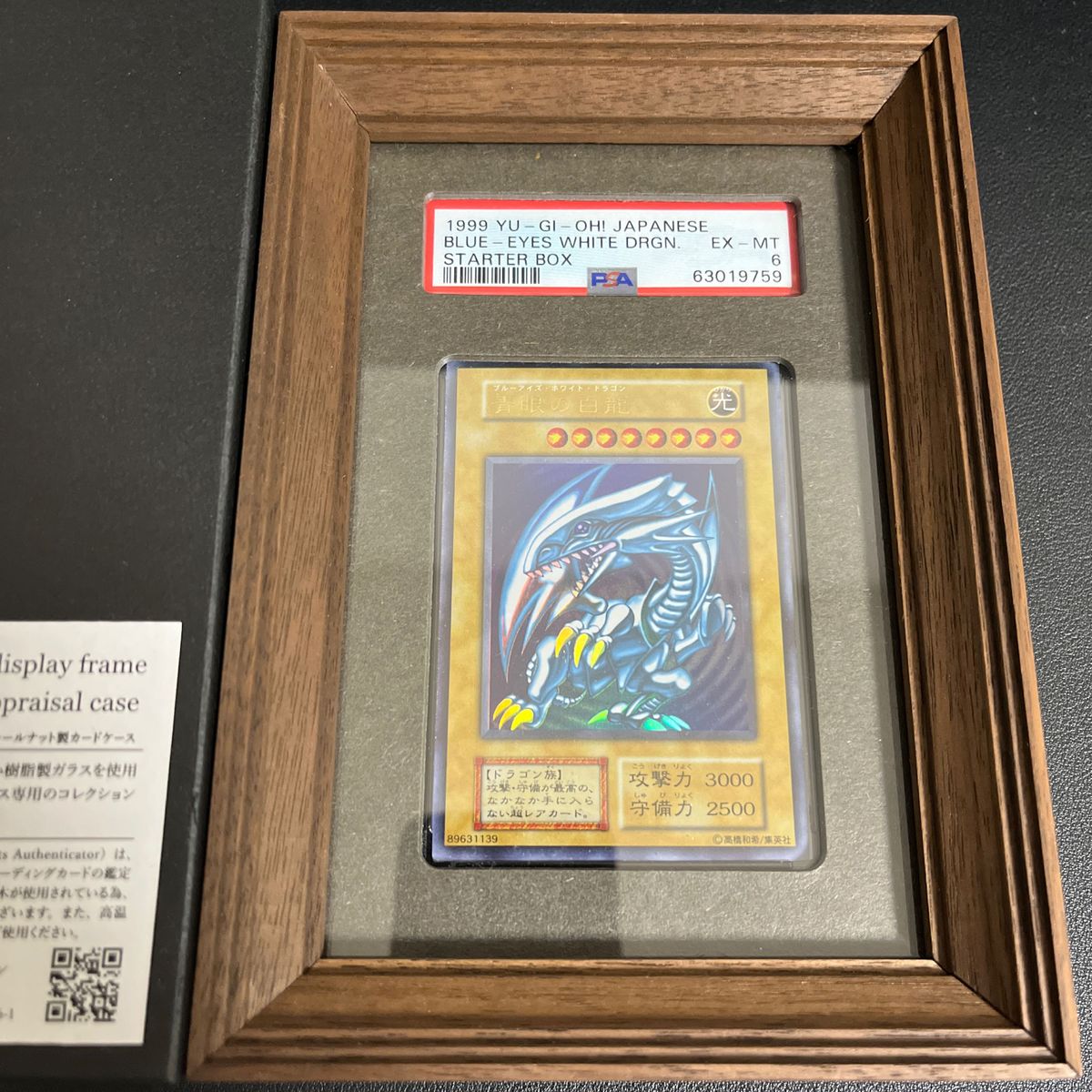遊戯王 カード 青眼の白龍 初期 PSA6 PSA 鑑定ケース UVカットケース