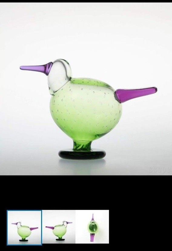 バード scope別注 Evening bird イブニングバード バード scope別注