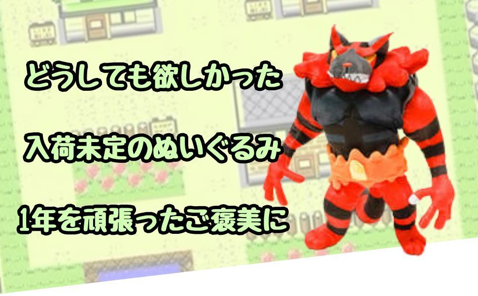 ガオガエン ぬいぐるみ 大きい 大型 特大 M L 30㎝ 紙袋付【残3のみ