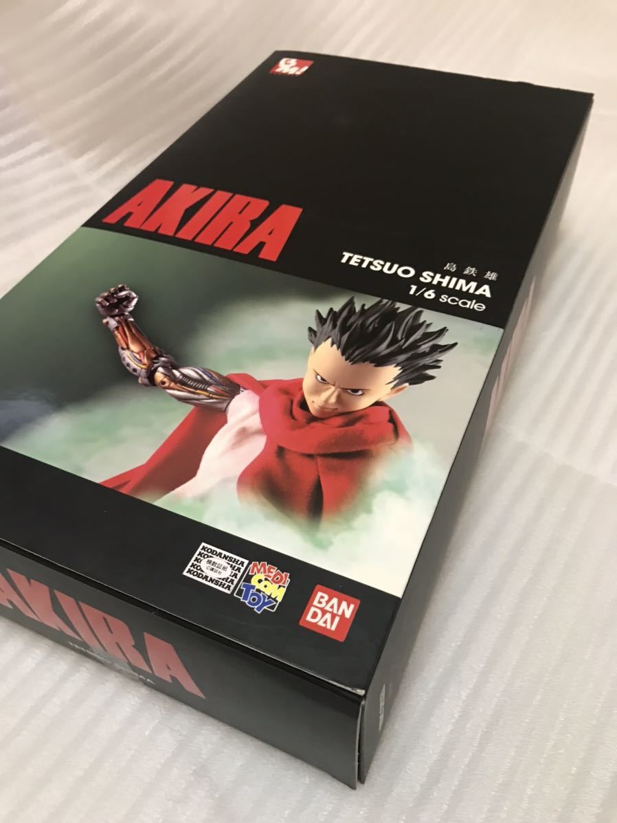Yahoo!オークション - アキラ AKIRA 島鉄雄 1/6スケール PROJECT BM