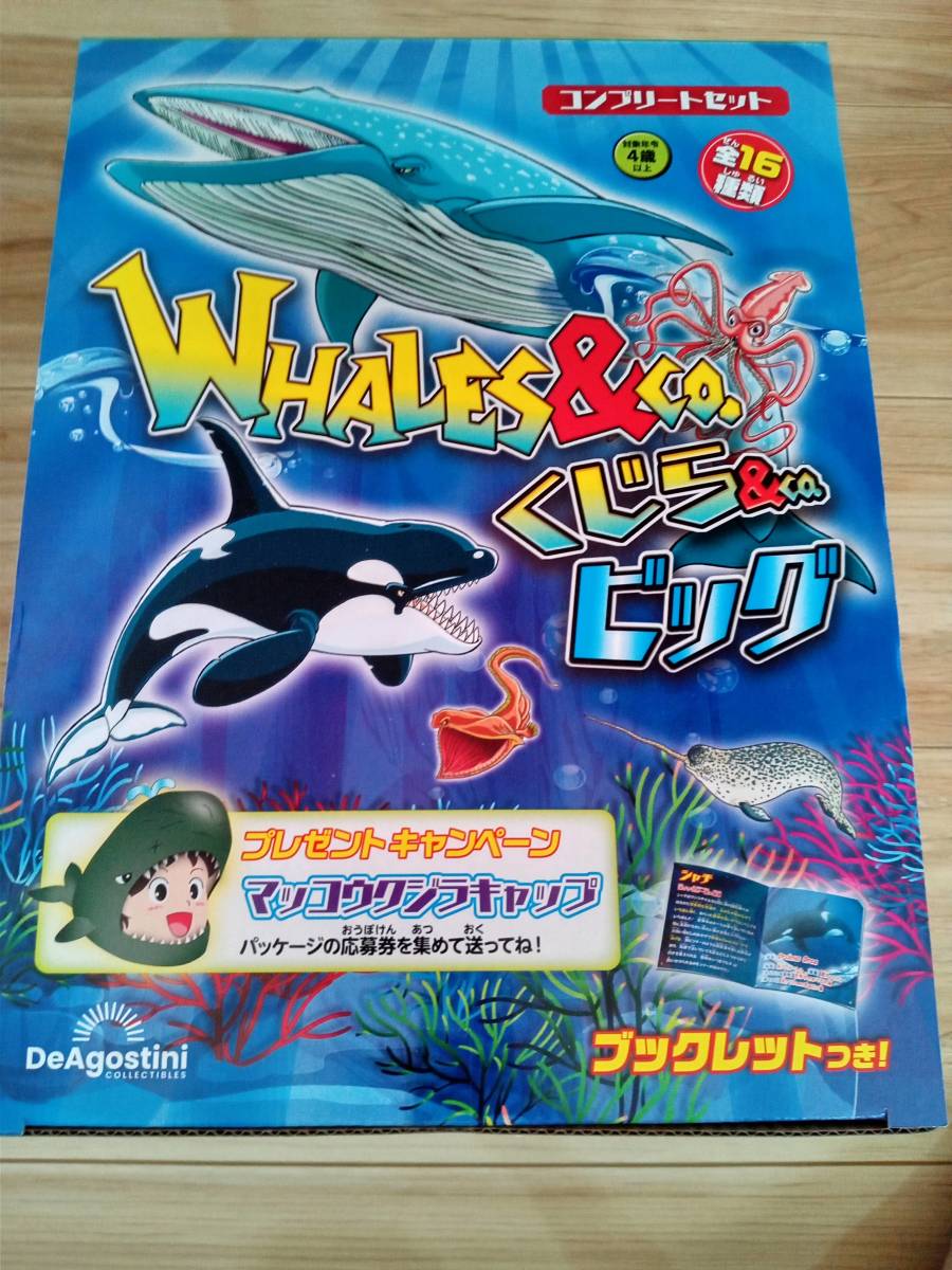 くじら＆Co ビッグ 全16種セット コンプリートセット WHALES＆Co 新品