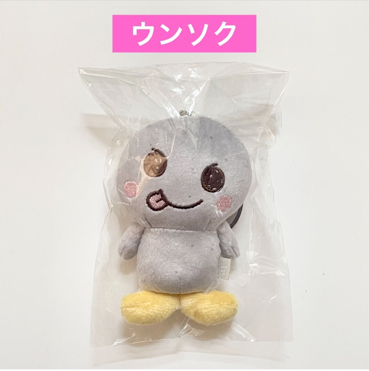 RIIZE ライズ ウンソク 10cm ドールキーリング ぬいぐるみ