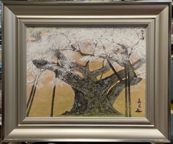 Yahoo!オークション - 真作保証 伊藤嘉晃 【淡墨桜】 樹齢1500年 国の