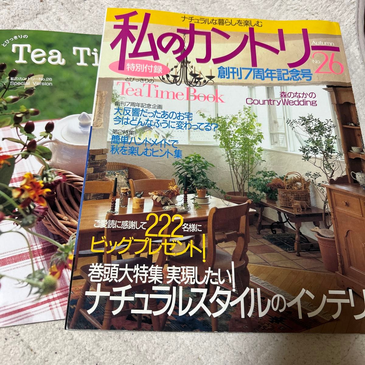 私のカントリー 創刊7周年記念号 No 26 (特別付録ティータイムブック